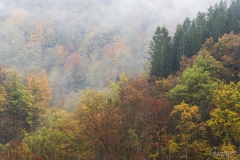 Autumn in Belgium.