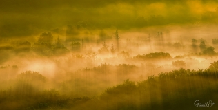 Golden mist from above.