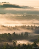 Fog from above.