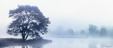 Foggy panorama.