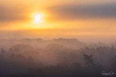 Zonsopkomst boven mistig bos.